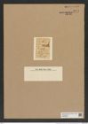 Hemiaulus reticulatus Grev. (de-Toni-Nr.: Genus 117, Species 3363) Zeichnungen Sammlung Grunow Nr. 6771 (NHMW-BOT-W0375603)